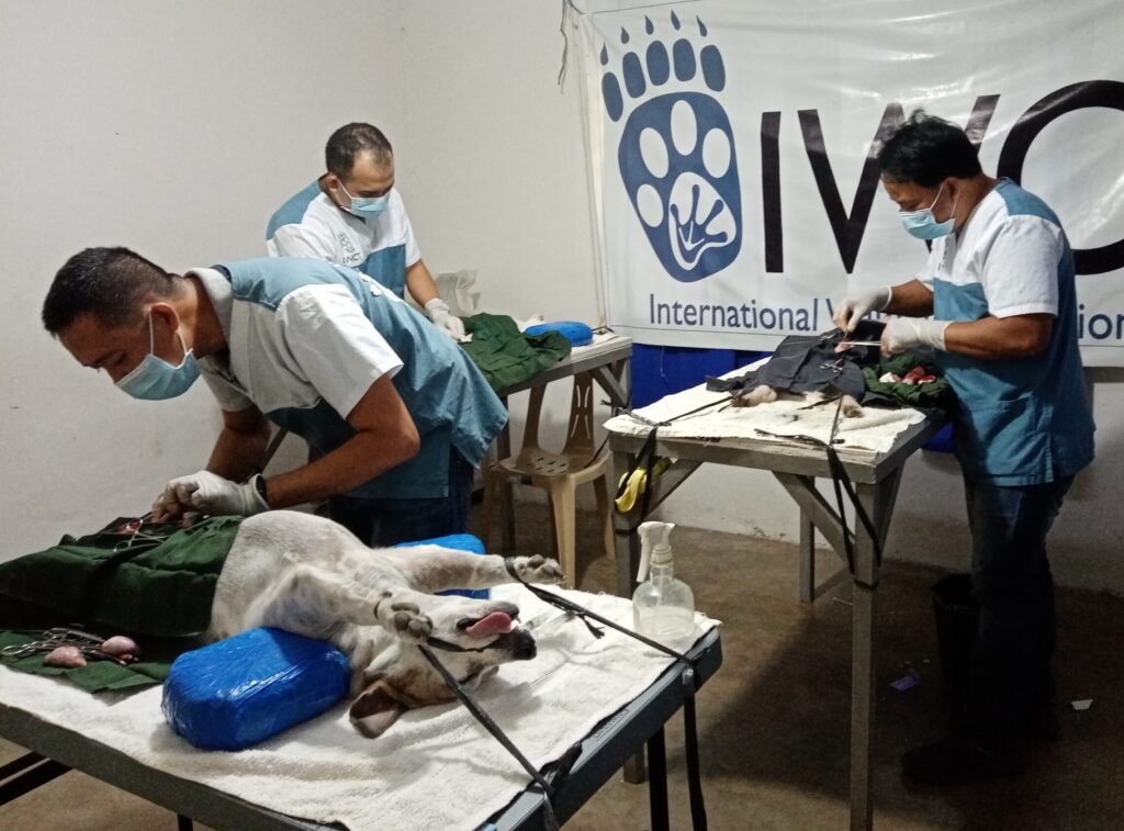 vets at an IWCT clinic